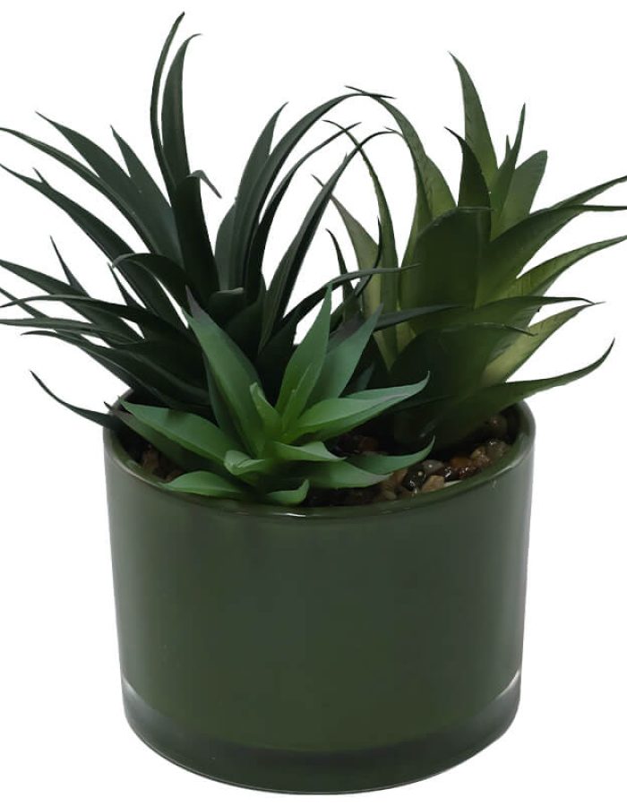 SUCCULENTS GREEN POT 18CM